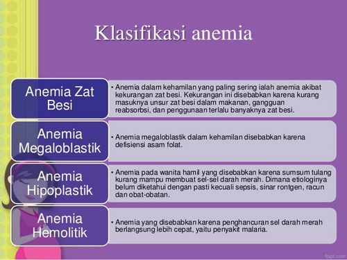 Definisi Anemia maupun batu